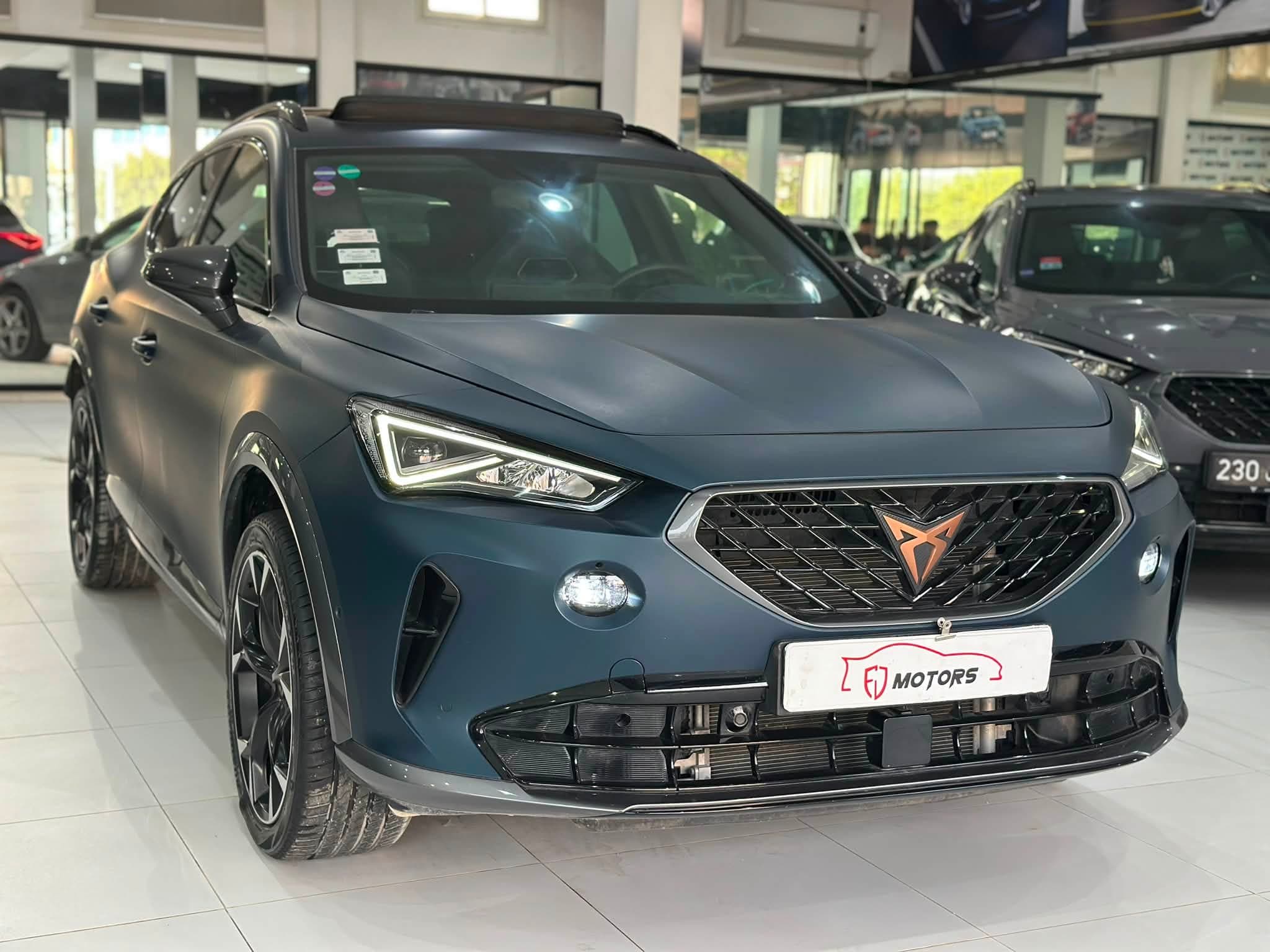 Cupra Formentor 2.0 TSI DSG Exclusive